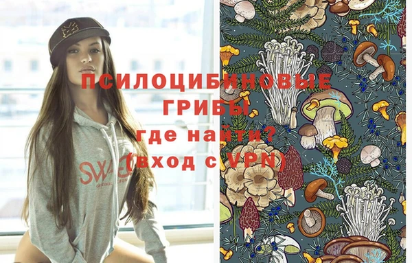 2c-b Абинск