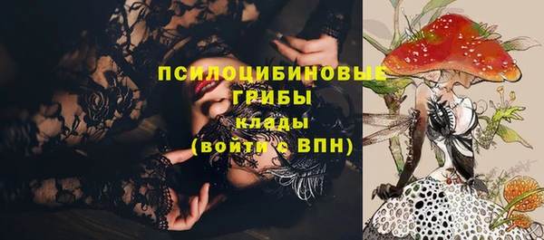 2c-b Абинск